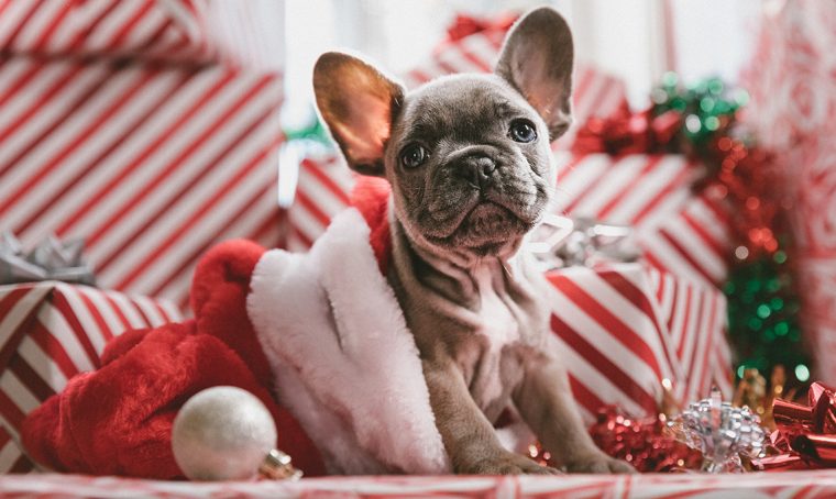 Natale 2019: regali originali