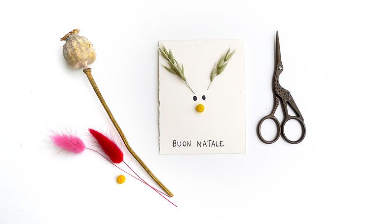 Natale: realizza i biglietti botanici