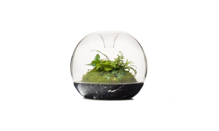Mossarium: un cuscino di muschio sotto vetro