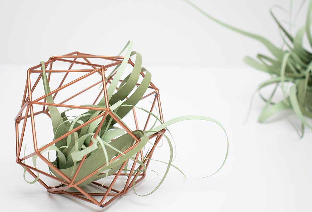 Come realizzare la Tillandsia di carta