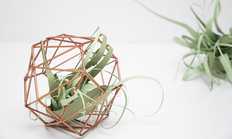 Come realizzare la Tillandsia di carta
