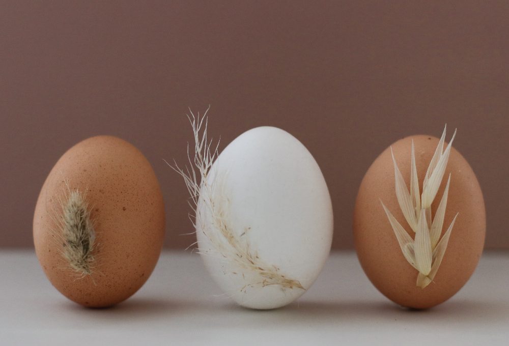 Fiori secchi per decorare le uova di Pasqua
