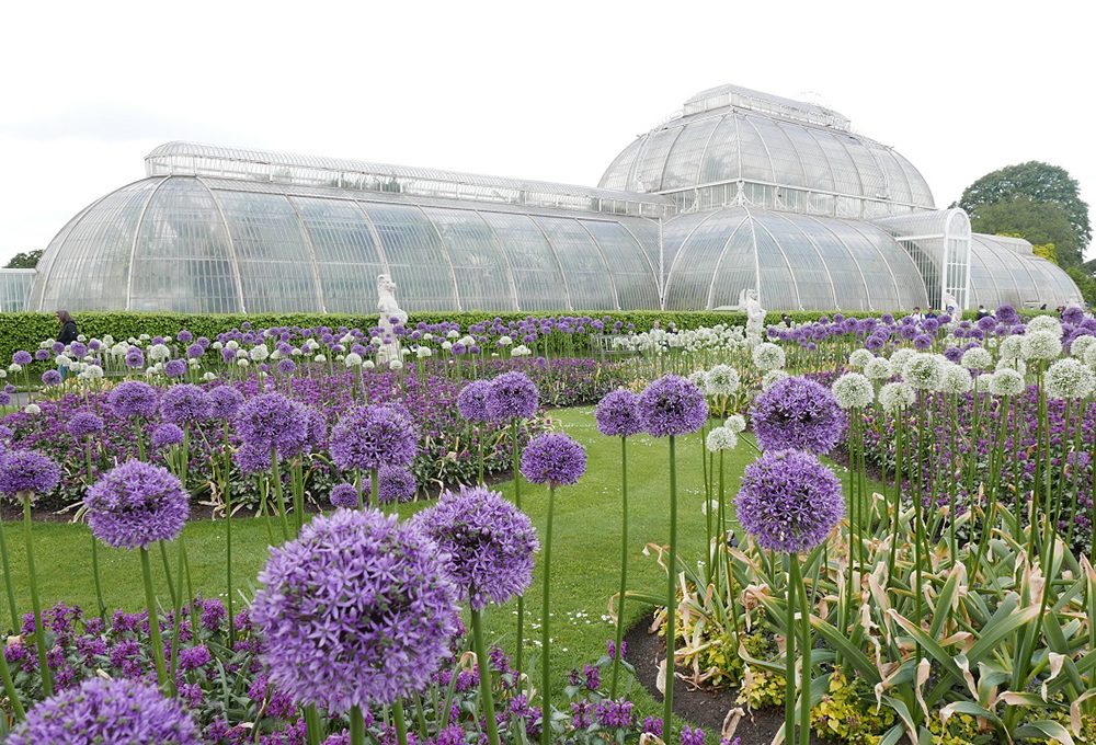 Le serre vittoriane dei Kew Gardens
