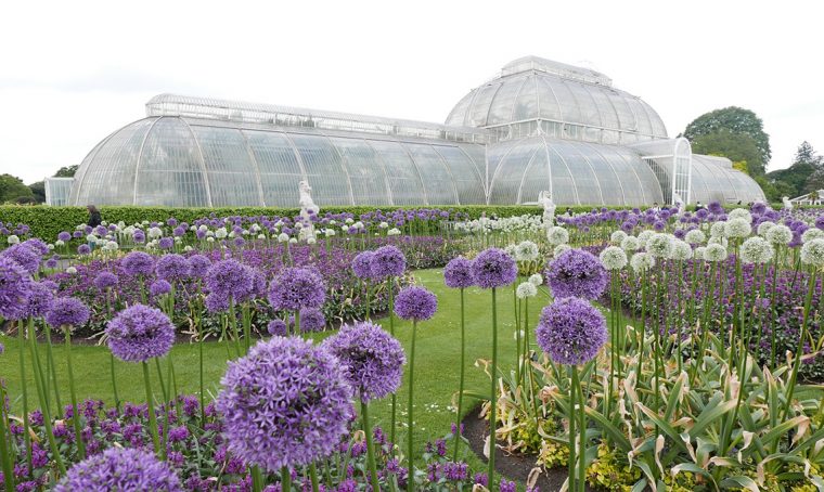 Le serre vittoriane dei Kew Gardens