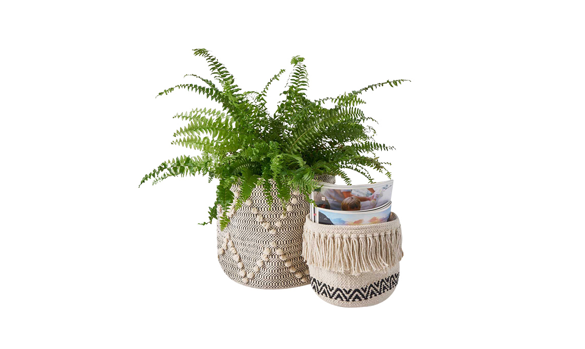stile urban jungle