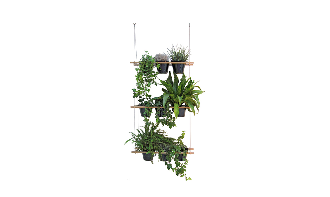 stile urban jungle