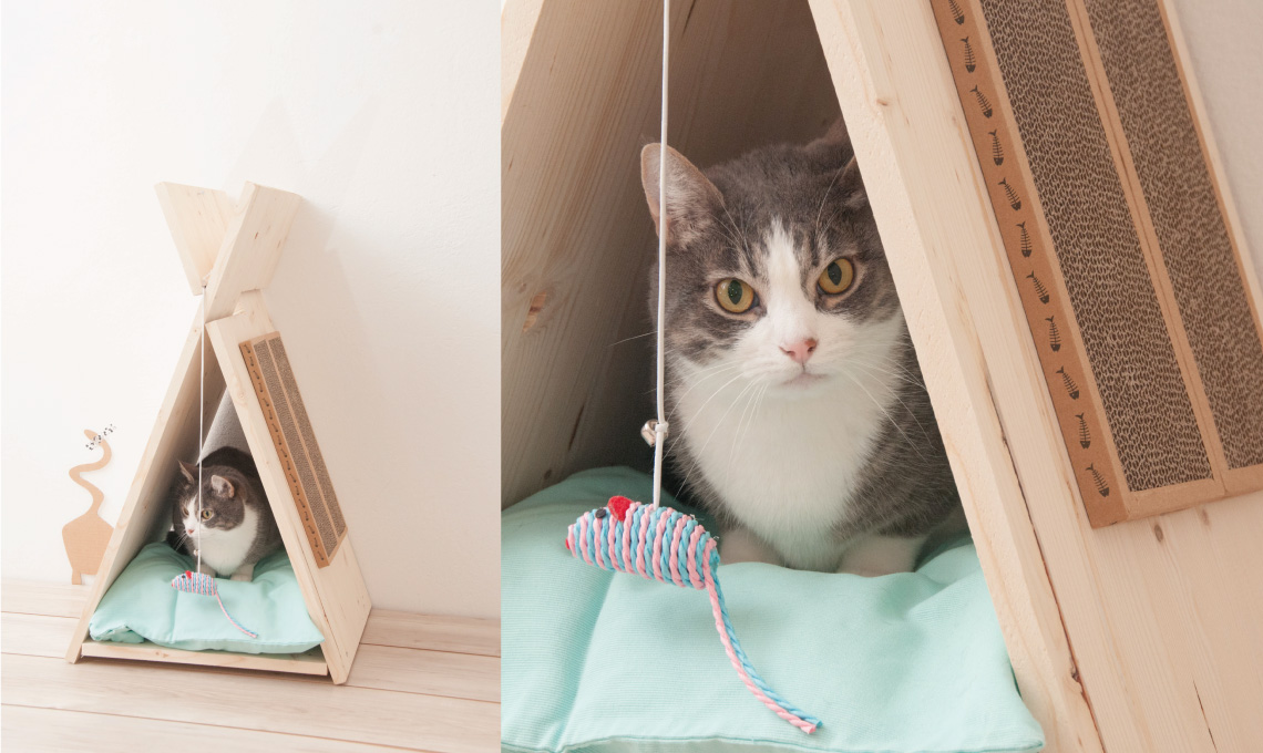 cuccia per gatti