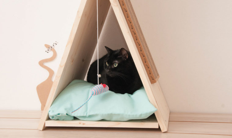 Fai-da-te per il tuo gatto: la cuccia a forma di capanna