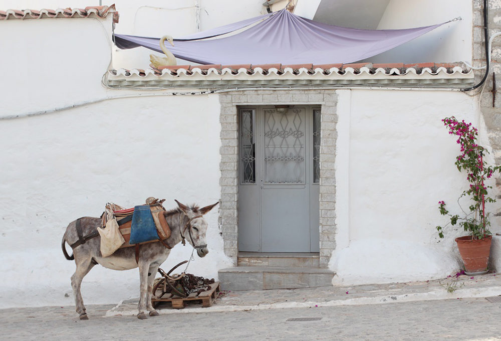Isole greche: visitare Hydra