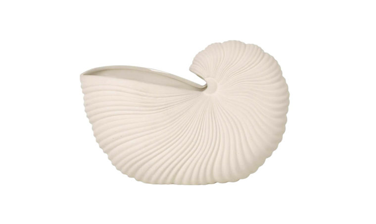 Arredi e complementi a forma di conchiglia