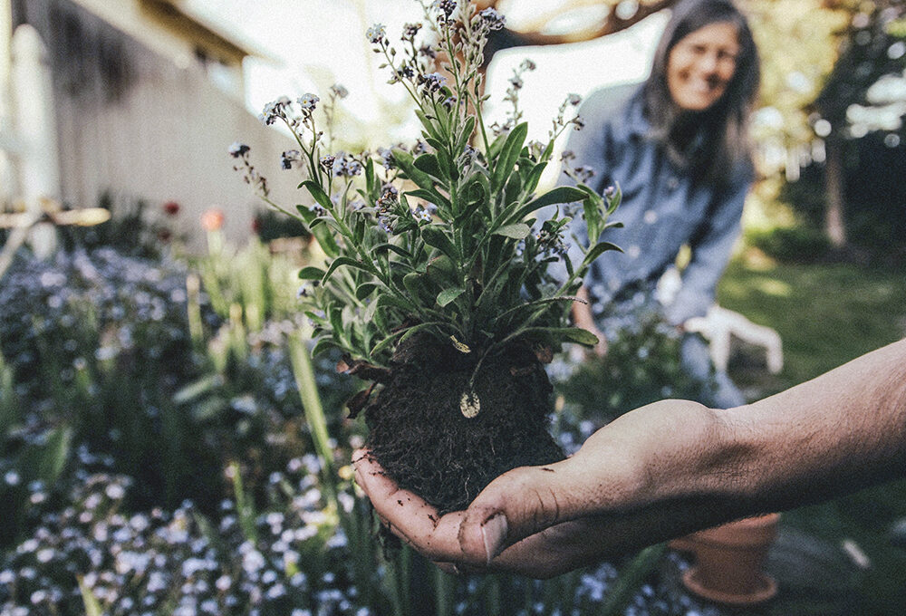 Come fare per avere un terrazzo all’insegna del verde