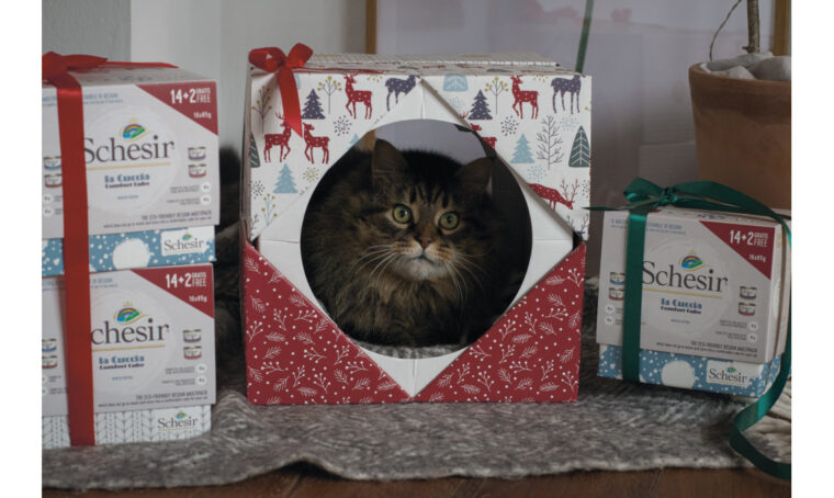 Crea una cuccia ecosostenibile e di design per il gatto con le confezioni multipack di Schesir