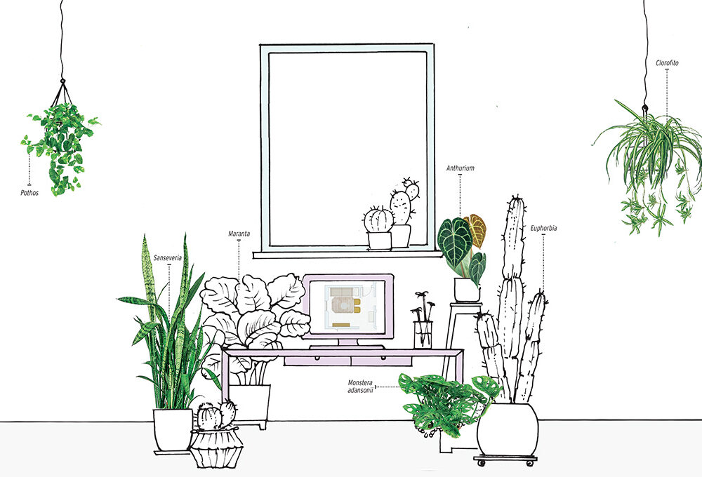 Le piante giuste per creare un angolo (home) office salutare e piacevole