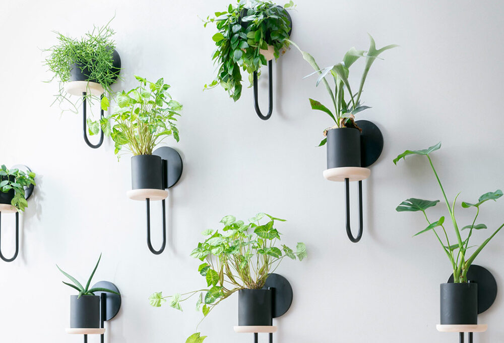 8 portavasi con cui rifare il look alle piante di casa
