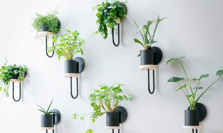 8 portavasi con cui rifare il look alle piante di casa
