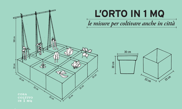 L’orto in 1 mq: le misure per coltivare anche in città