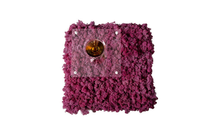 Quando la natura incontra il design: il coffee table con licheni stabilizzati