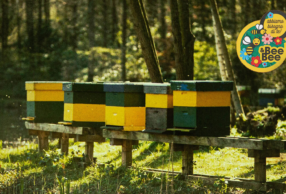 OBl a sostegno della biodiversità con la campagna sulle piante mellifere