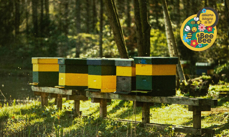 OBl a sostegno della biodiversità con la campagna sulle piante mellifere