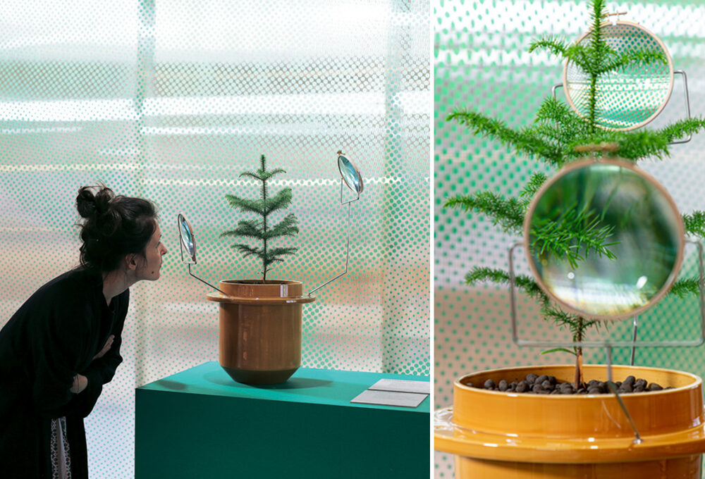 New Home: il design che parte dal mondo vegetale