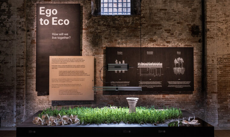 Alla Biennale la piccola foresta in crescita dello Studio Effekt