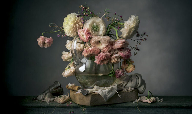 A Senigallia in mostra gli still life di Christopher Broadbent
