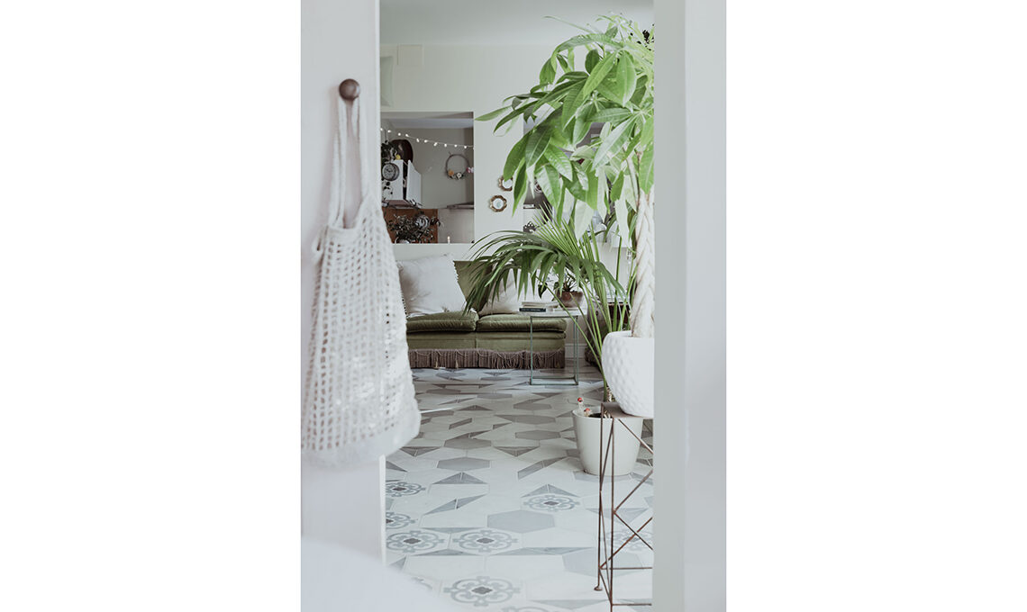 Piante in casa