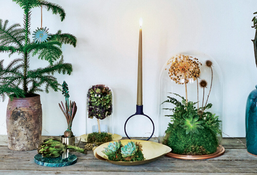 Come realizzare un Vivarium