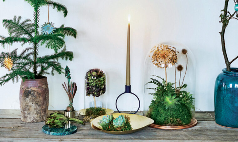 Come realizzare un Vivarium
