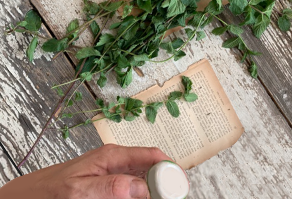 Come conservare le erbe aromatiche