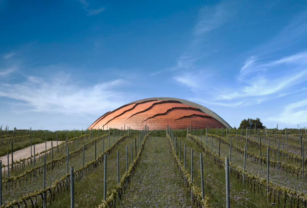 5 cantine di design da visitare in Italia