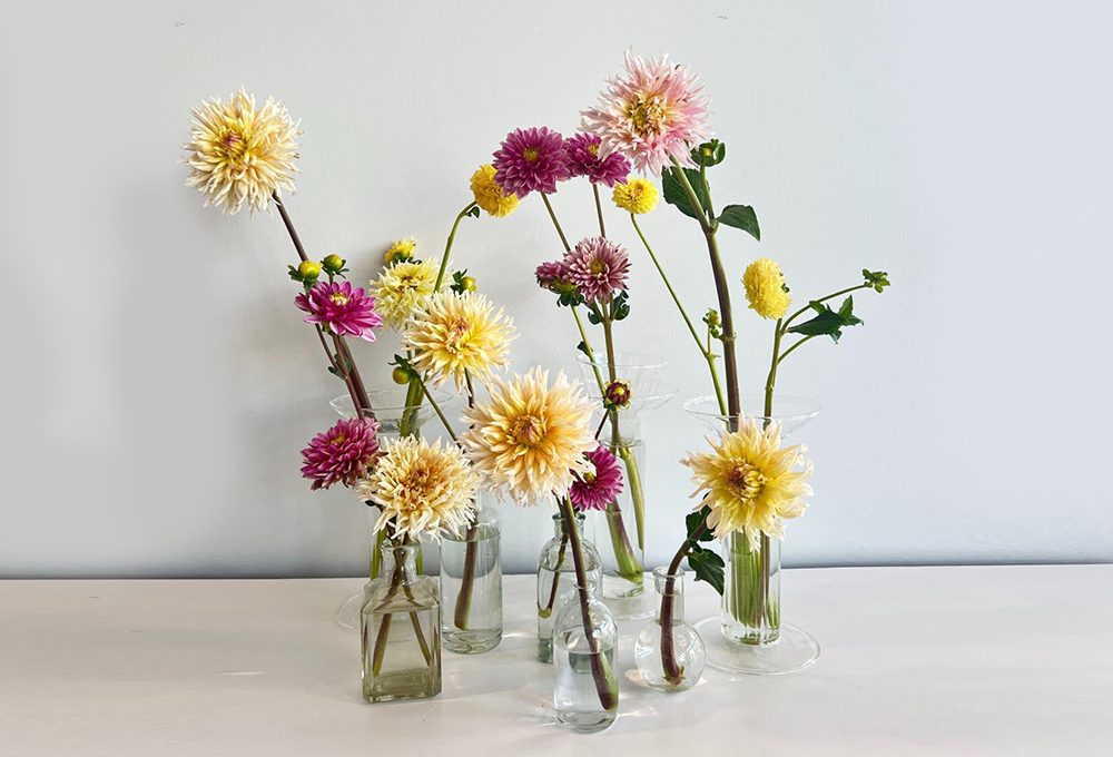 A scuola di fiori con La Fiorellaia: la Dalia