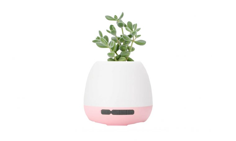 Shopping: speaker d’arredo