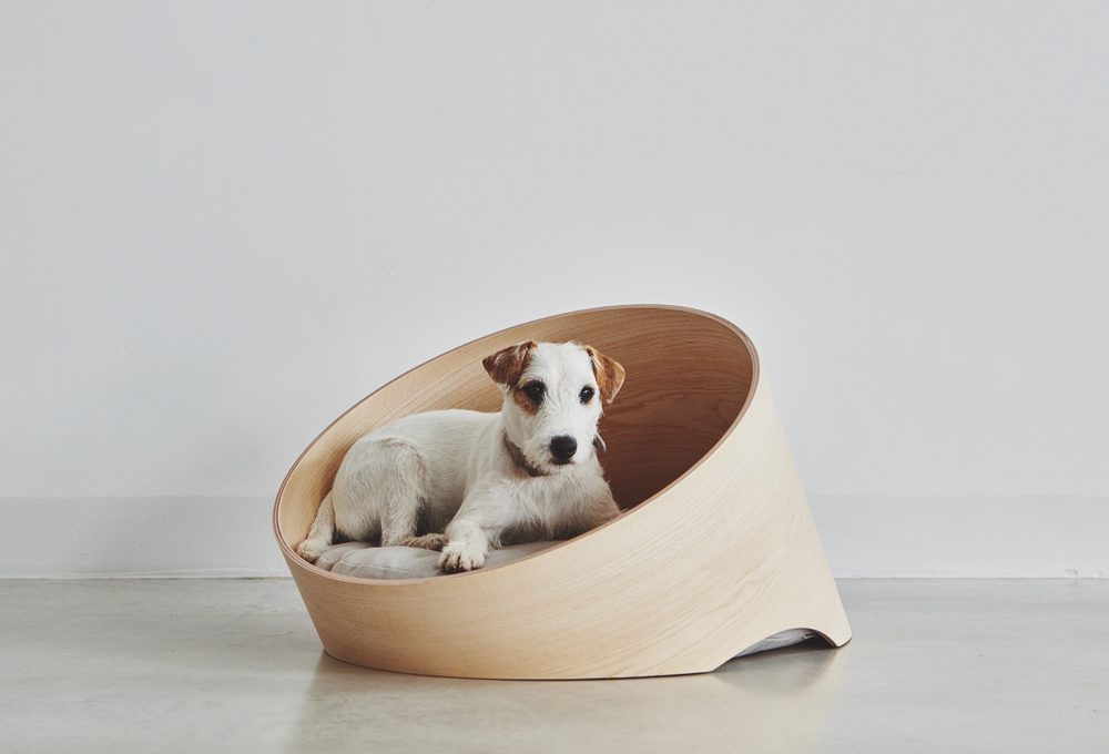 Cucce di design per cani
