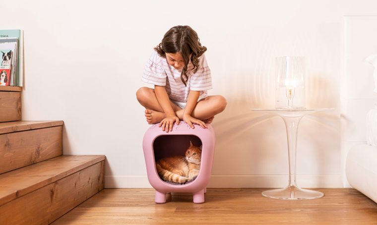 Cucce di design per gatti