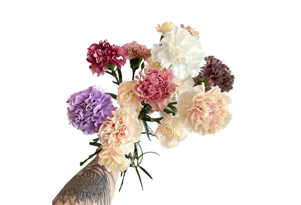 A scuola di fiori con La Fiorellaia: il Garofano