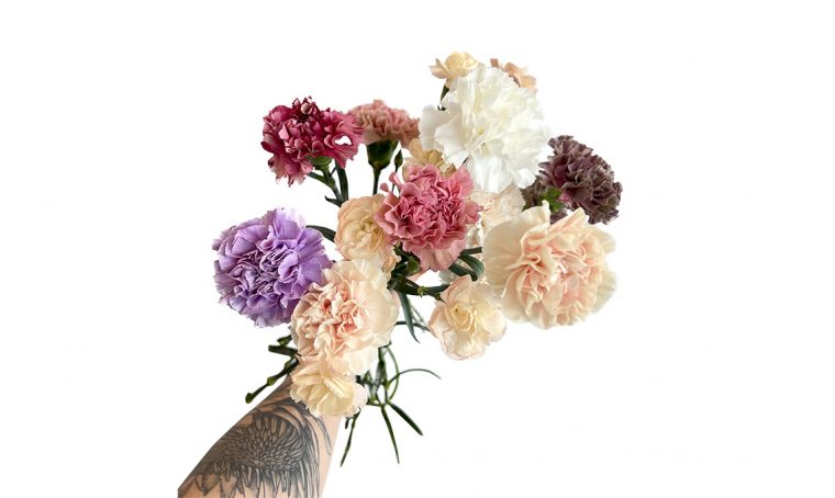 A scuola di fiori con La Fiorellaia: il Garofano