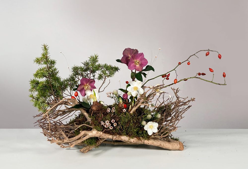 A scuola di fiori con La Fiorellaia: l’elleboro