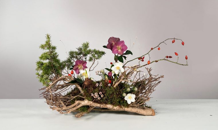 A scuola di fiori con La Fiorellaia: l’elleboro