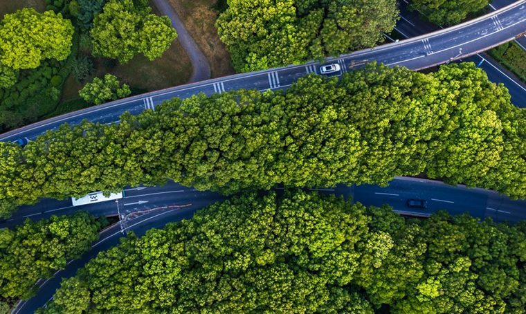 Il futuro della mobilità è sempre più sostenibile