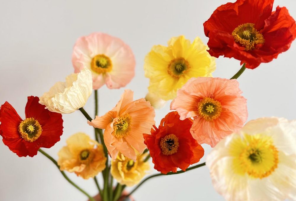 A scuola di fiori con La Fiorellaia: il papavero