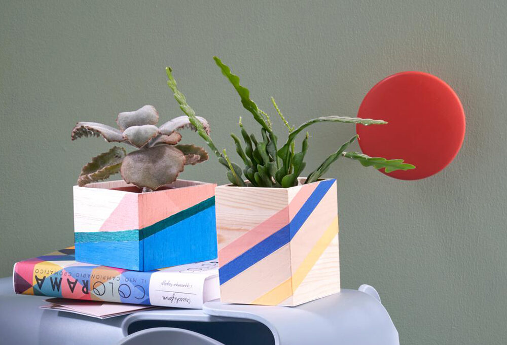 5 idee creative per cachepot semplici e originali