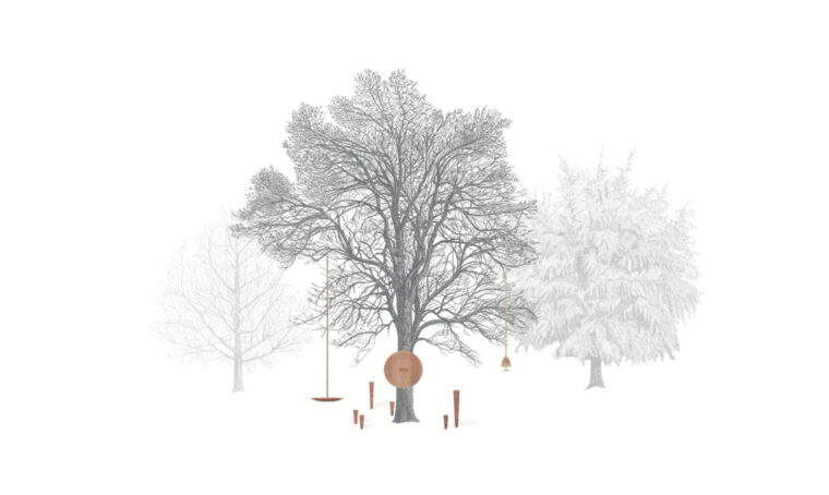 Alberi parlanti a Venezia: Populus Alba di De Castelli e Formafantasma