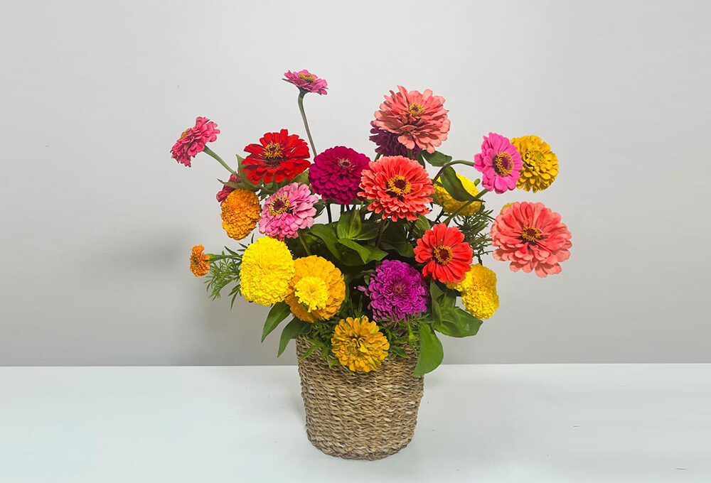 A scuola di fiori con La Fiorellaia: la Zinnia