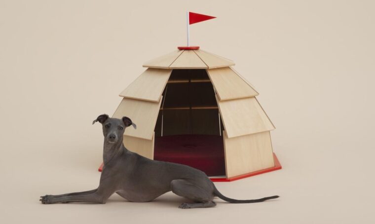 ‘Architecture for dogs’: il design a misura di quattrozampe