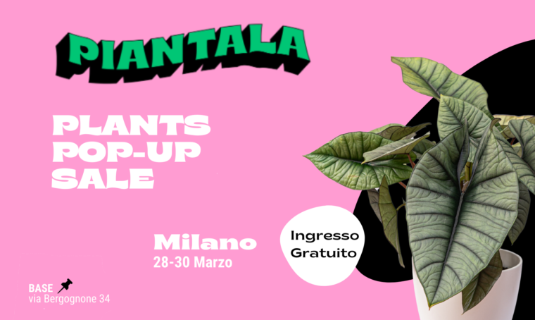 Piantala: il nuovo format di shopping esperienziale green